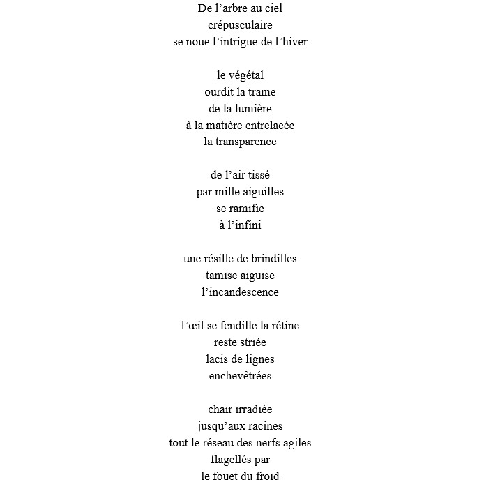 Image 10000000000002AC000002B3C209E24A.jpg