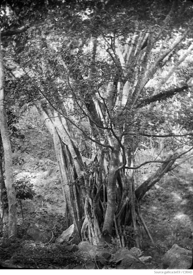 Image 10000000000002880000039E220FC4EA.jpg