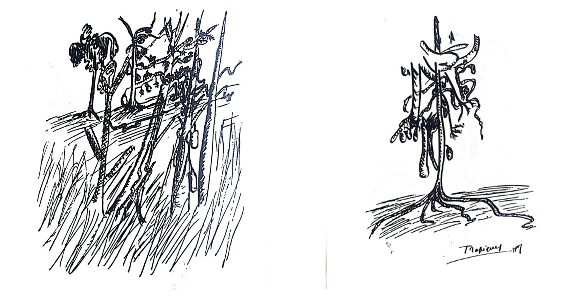 Image 100000000000048F00000259447CA439.jpg