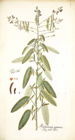 Image 10000000000000FB000001D3DF4F0ED1.jpg