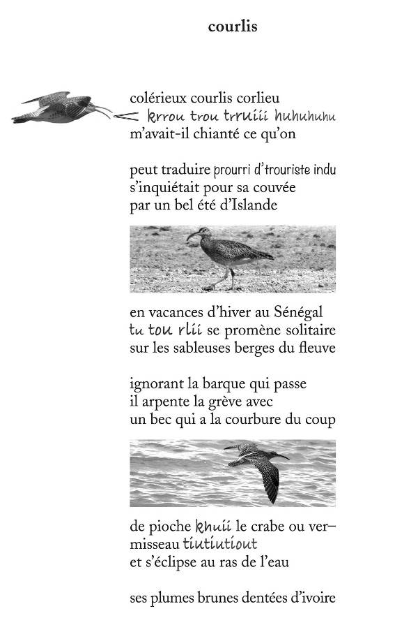 Image 100000000000023700000389E73C5348.jpg