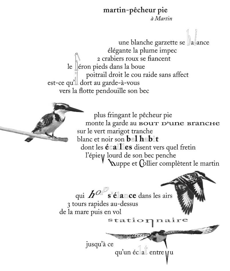 Image 1000000000000323000003B0C3916EB1.jpg