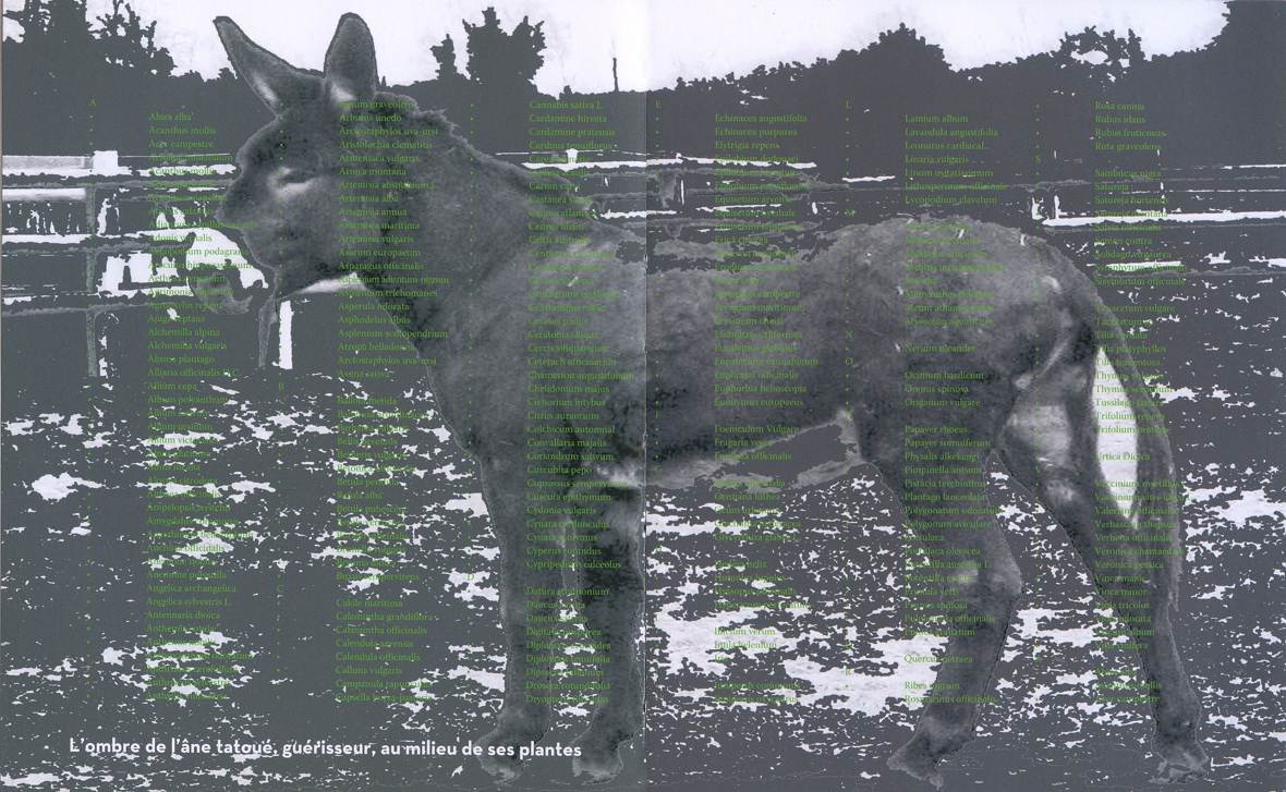 Image 100000000000049C000002D7AB371F72.jpg