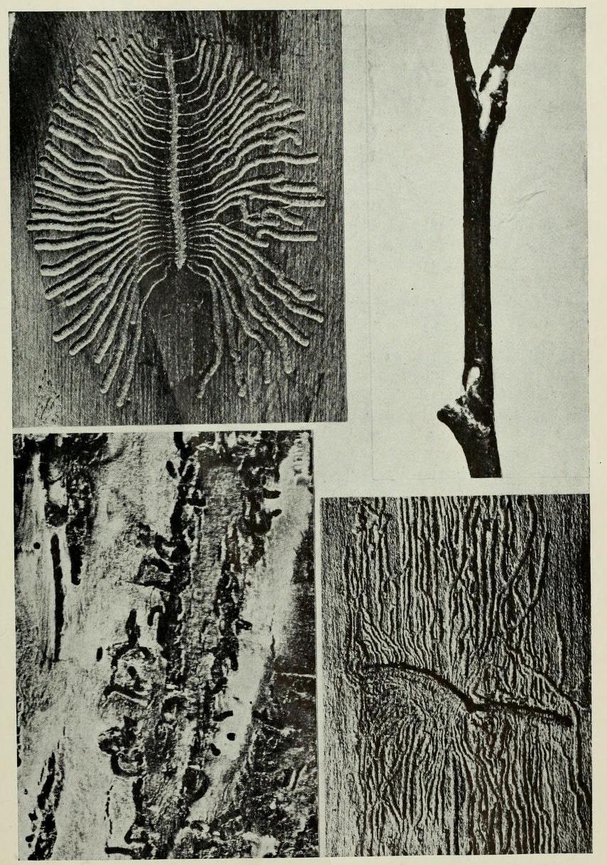 Image 1000000000000357000004C2916C194D.jpg