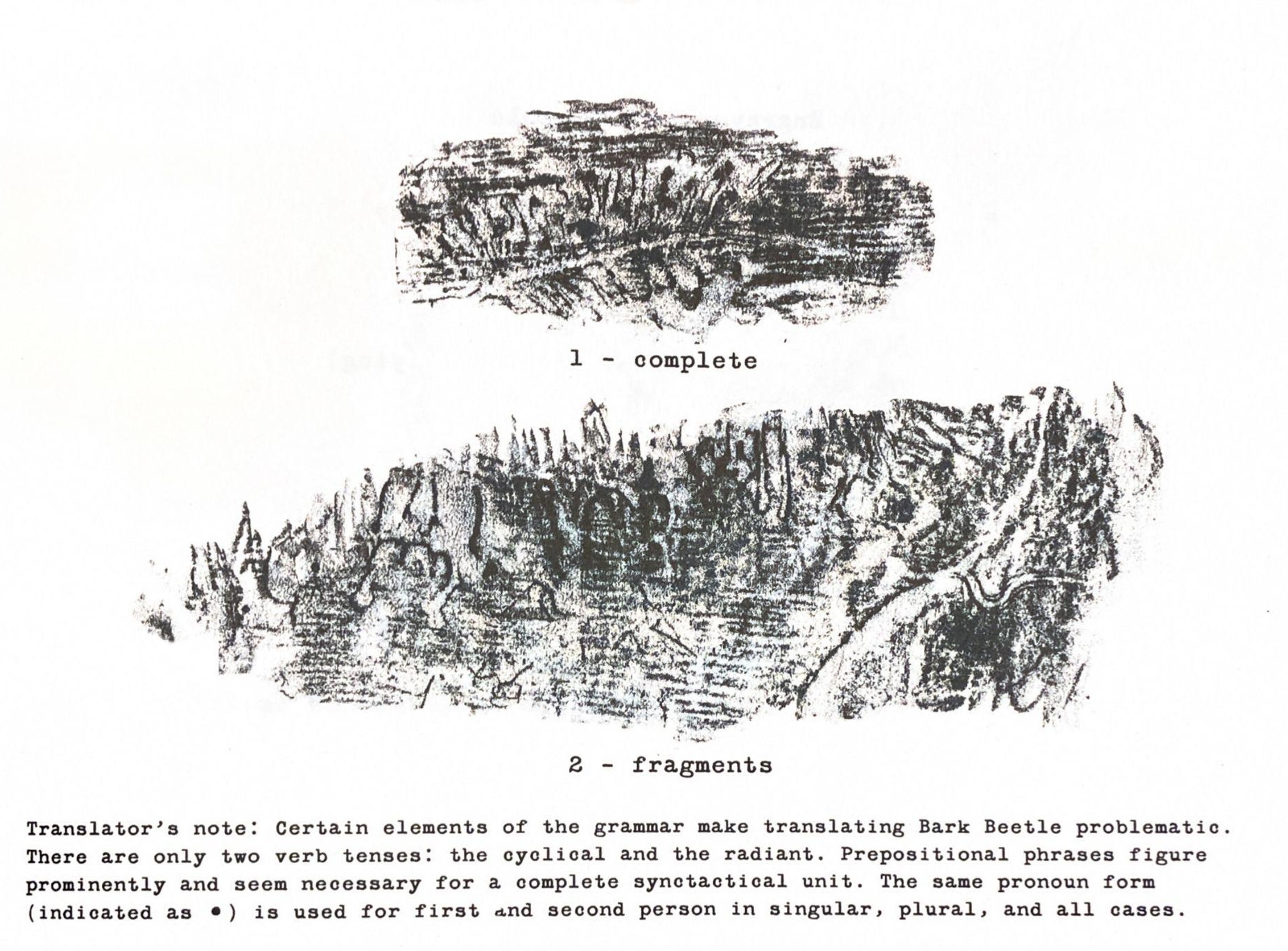 Image 10000000000007420000055C53531EE7.jpg