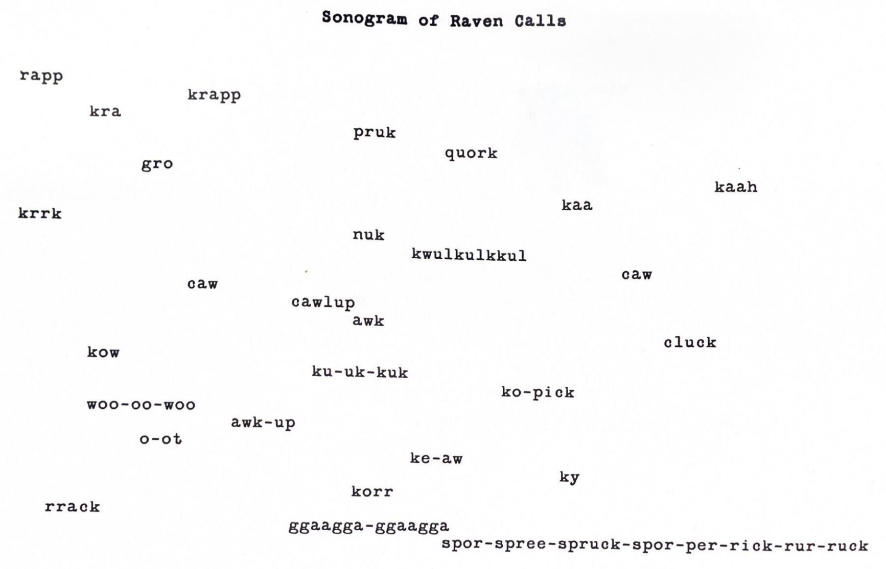 Image 10000000000006C60000045B2A354B40.jpg