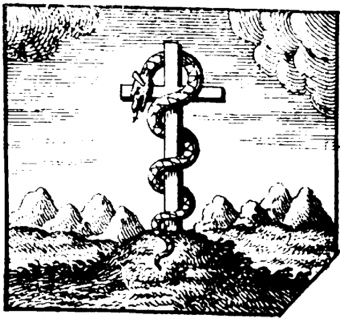 Image 10000000000001540000013F15E2563E.jpg